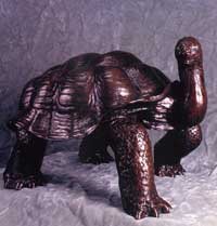 Tortoise